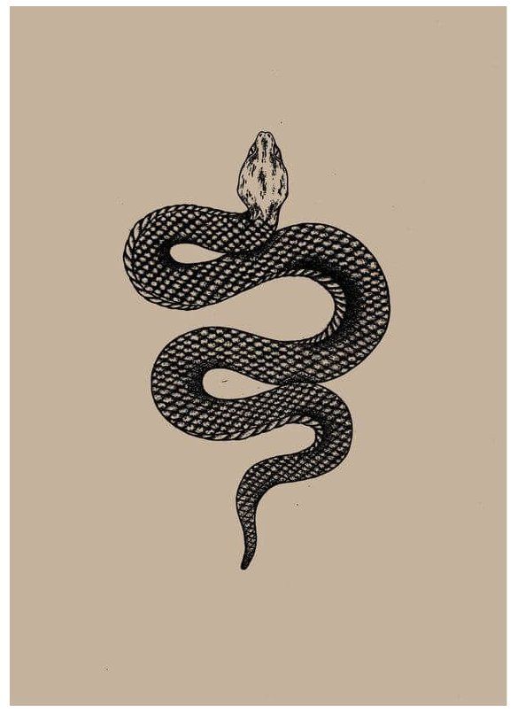 10 Best Black Mamba Snake Tattoo Designs Meanings Petpress Snake