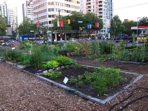 10 Inspiring Urban Gardens