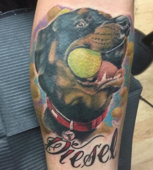 14 Best Rottweiler Tattoo Ideas 2020 Petpress Rottweiler Tattoo