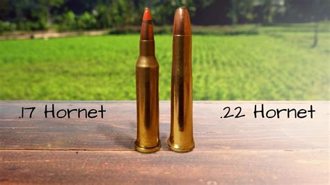 17 Hmr Vs 17 Hornet 17 Hornet Vs 22 Hornet At 300 Yards Youtube