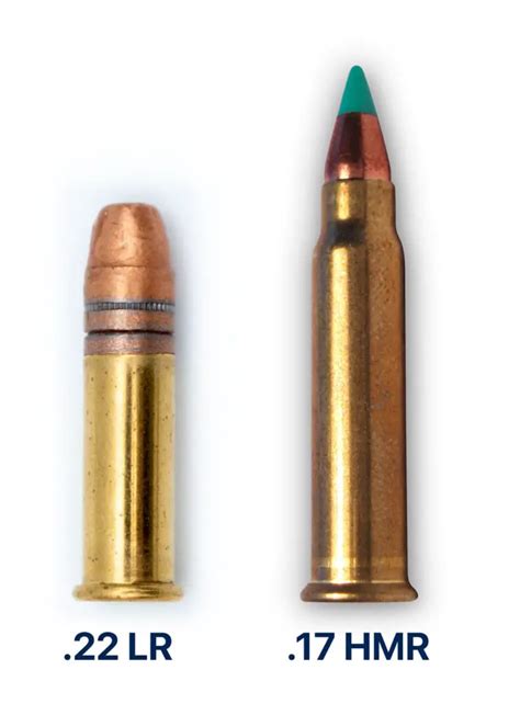 17 Hmr Vs 22Lr 17 Hrm 22Lr Comparison