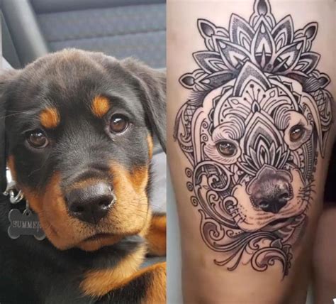 18 Rottweiler Dog Tattoo Ideas Designs The Dogman