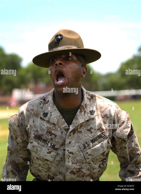 182 Marine Corps Drill Instructor Stock Photos High Res Pictures And