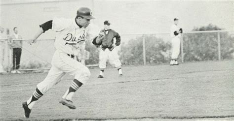 1964 65 Oregon Baseball From The 1965 Oregana University Of Oregon