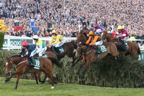 2024 Grand National Who The Trends Suggest Will Win Racing Club