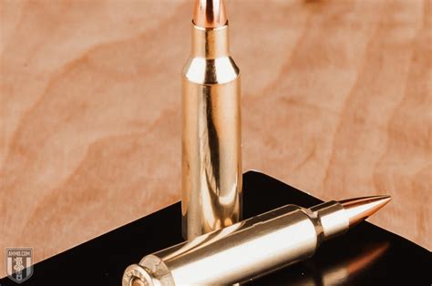 22 Nosler Vs 22 250 22 Caliber Comparison By Ammo Com