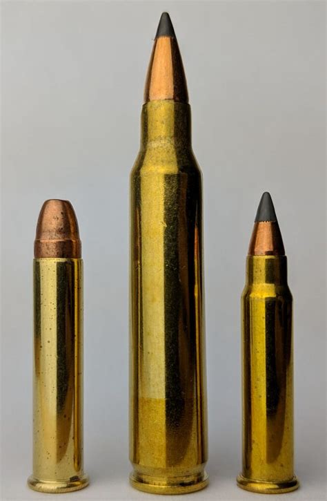 22Wmr And 17Hmr Vs 223 Remington The Hunting Gear Guy