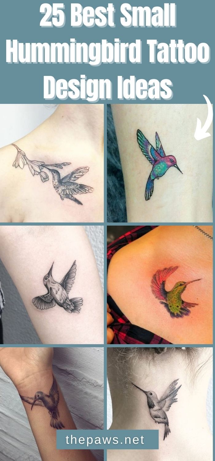 25 Best Small Hummingbird Tattoo Design Ideas Small Hummingbird