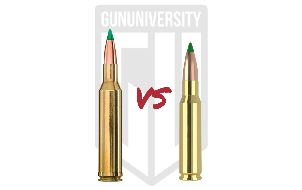 300 Win Mag Vs 308 Win 2025 Ammo Comparison