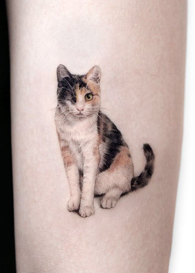 40 Small Cat Tattoos That Are Absolutely Adorable