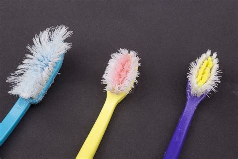 5 Ultimate Steps To Create Spiderfree Toothbrushes Today Military And