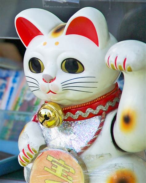 50 Japanese Lucky Cat Wallpapers Wallpapersafari