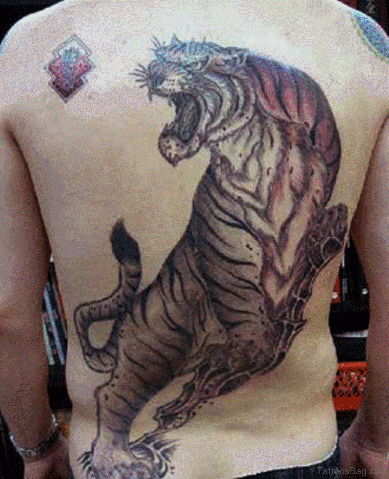 53 Angry Tiger Tattoos On Back