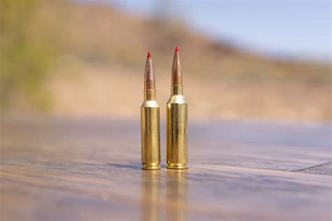 6 5 Prc Vs 6 5 Creedmoor Outdoor Life