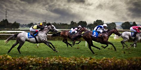 6 Most Exclusive Horse Races That Draw The Rich And Famous