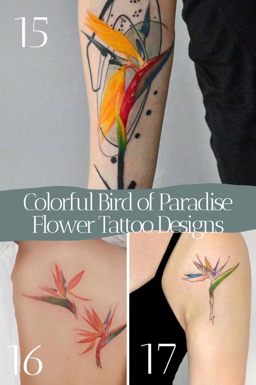 67 Colorful Bird Of Paradise Flower Tattoo Designs Tattooglee Bird