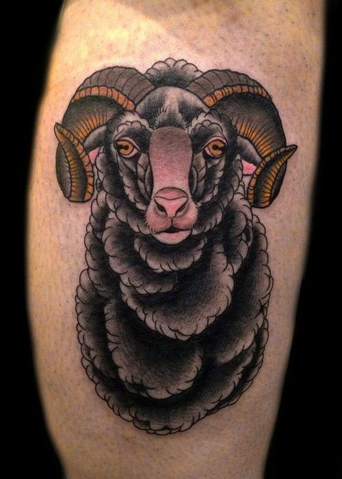 8 Best Black Sheep Tattoo Images Sheep Tattoo Black Sheep Tattoo