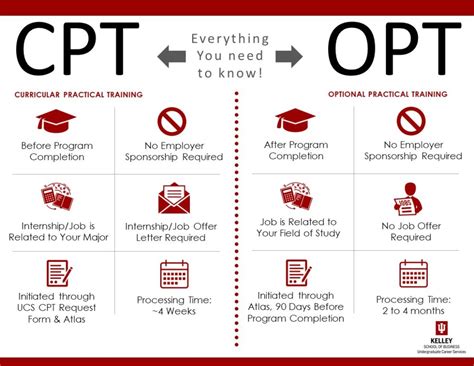 A Comparison Chart Cpt Vs Opt Vs Stem Opt