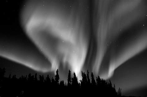 Aggregate More Than 64 Northern Lights Tattoo Black And White Best In