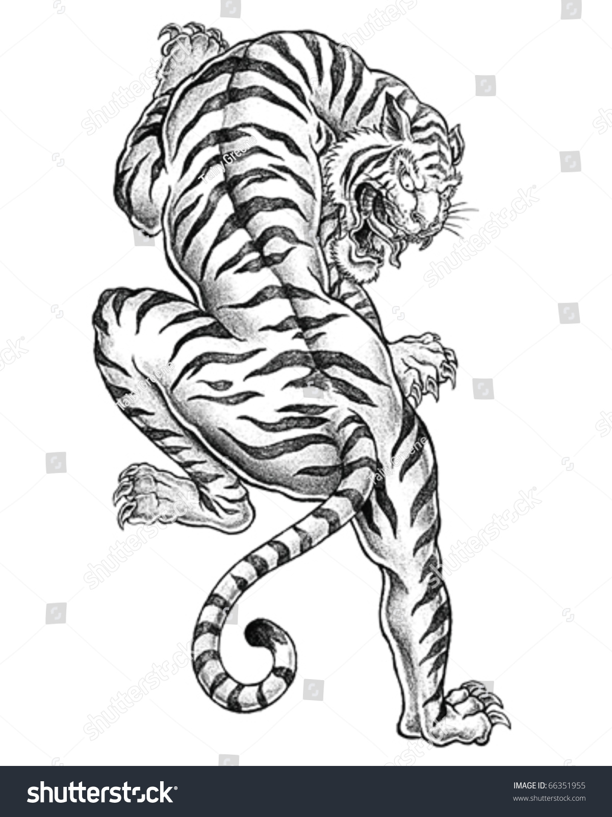 Aggregate More Than 74 Tiger Tattoo Ideas Latest Vova Edu Vn