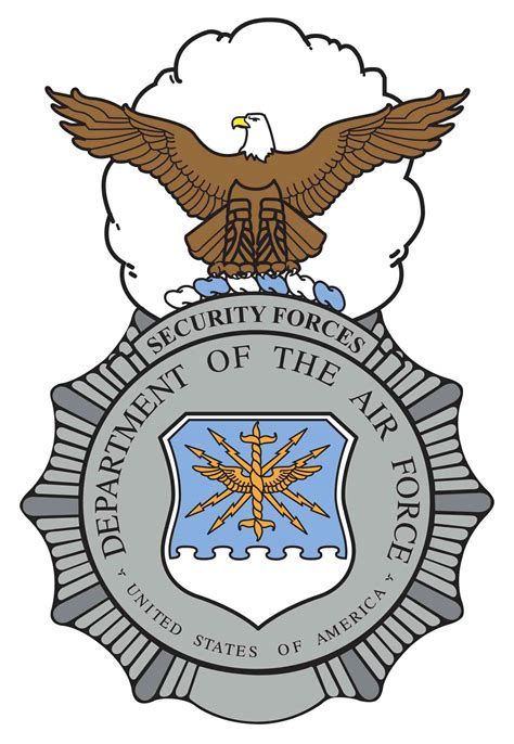 Air Force Security Forces Abu Badge