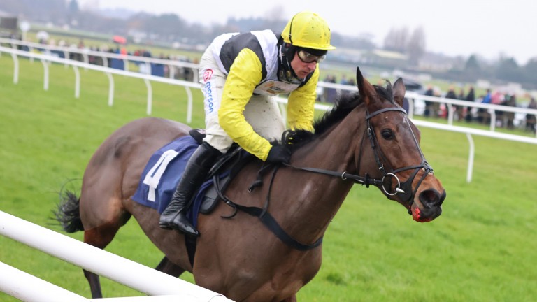 Amp 39 He Took Me By Surprise Amp 39 Dan Skelton Amp 39 S Le Milos Cut To 8 1 For Coral Gold Cup Horse Racing