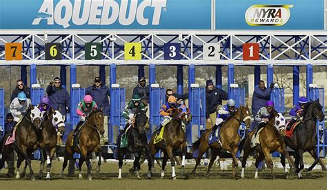 Aqueduct Entries Horse Race A Guide To Understanding