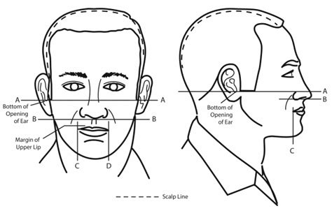 Army Grooming Standards For 2023 Hair Mustache And Nail Regulations