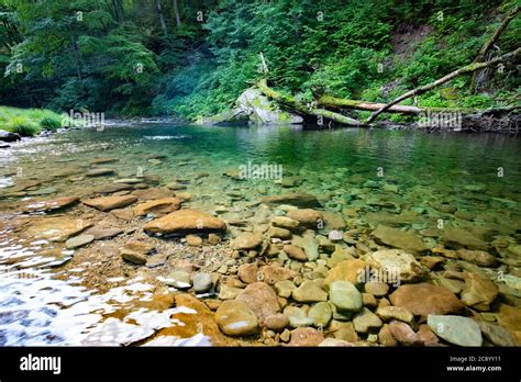 Beautiful Morning Summer View Of Peekamoose Blue Hole At Sundown Forest