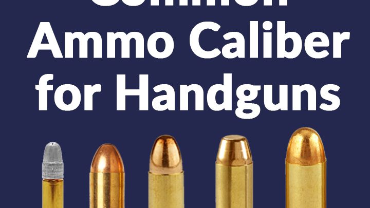 Beginner S Guide Common Ammo For Handguns Pbdionisioco