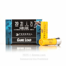 Best 20 Gauge Ammo Recommended By Experts At Ammo Com