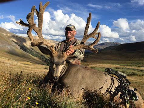 Best Mule Deer Hunting In Colorado