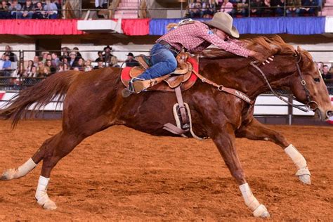 Best Rodeo Winners 2020 Usa Today 10Best