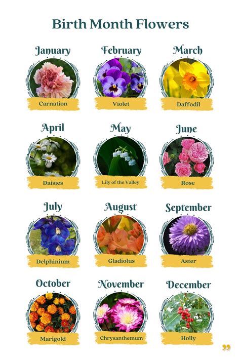 Birth Month Flowers A Complete Guide