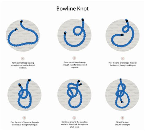 Bowline Knot 101Knots