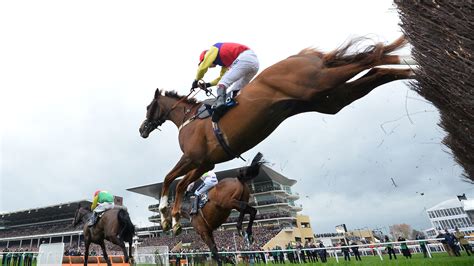 British Horse Racing To Resume On Wednesday After Equine Flu Outbreak