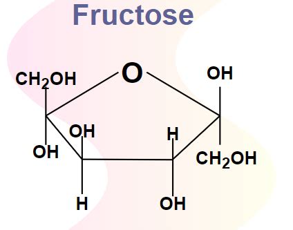 C U Tr C Ph N T Fructose C Ph N L P Tr N M U Tr Ng H Nh Nh S N C