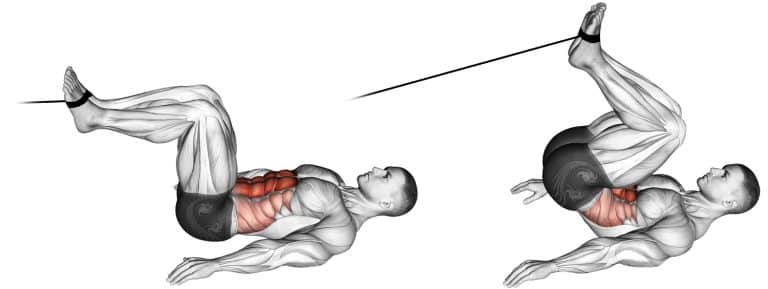 Cable Reverse Crunch Target Your Core For Maximum Strength Fitness Volt