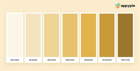 Champagne Color As A Versatile And Timeless Element In Graphic Design