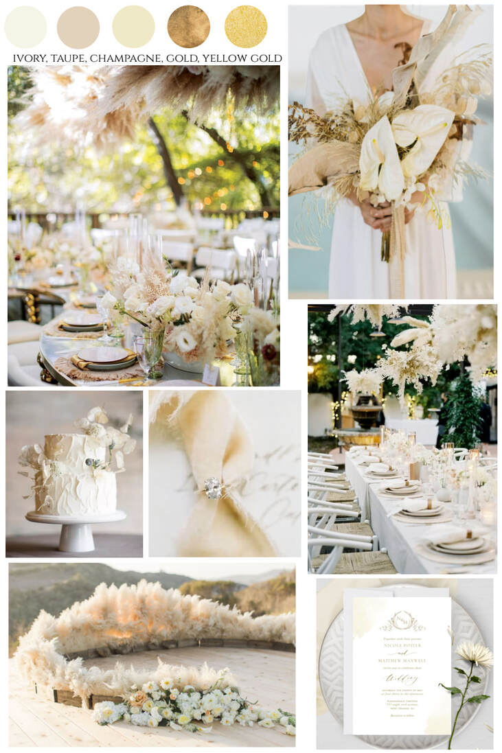 Champagne Color Palette Create Stunning Designs Now