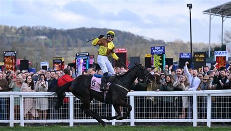 Cheltenham Gold Cup Races 2025 Scarlett Cox