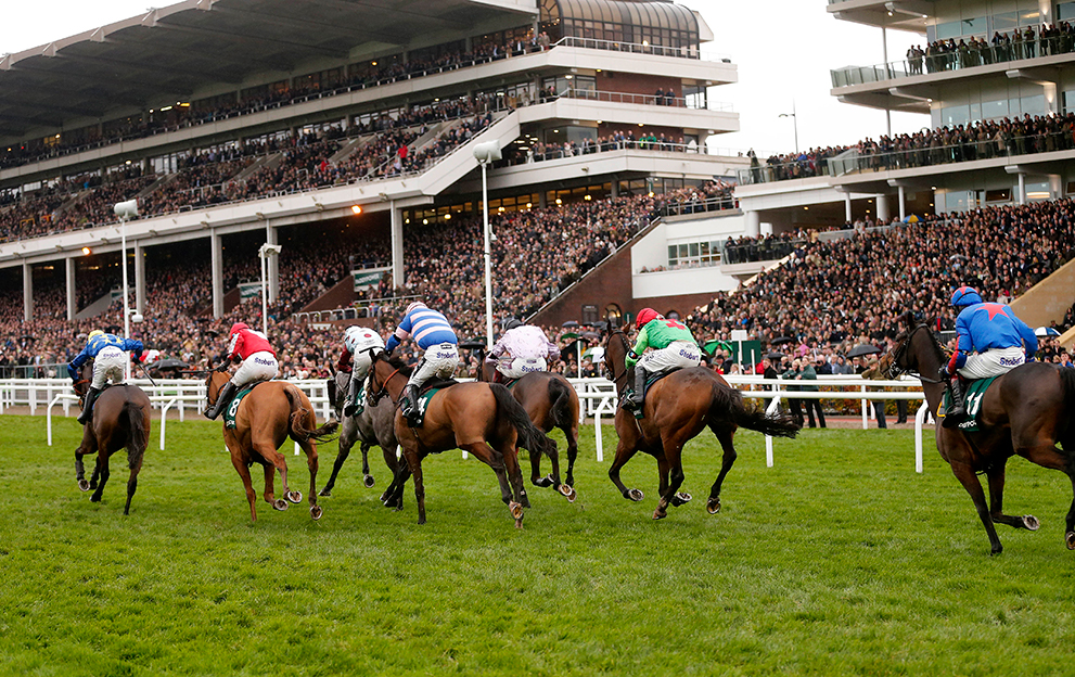 Cheltenham Racecard Your Ultimate Guide To Tuesday S 7 Races