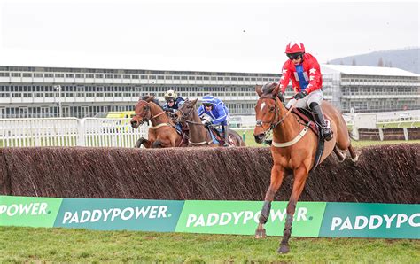 Cheltenham Races Your Ultimate Guide To The November Meeting