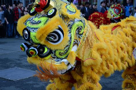 Chinese Lion Dance Meaning Lion Dance Costume 2019 01 19