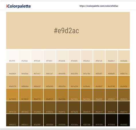 Color Champagne Pantone