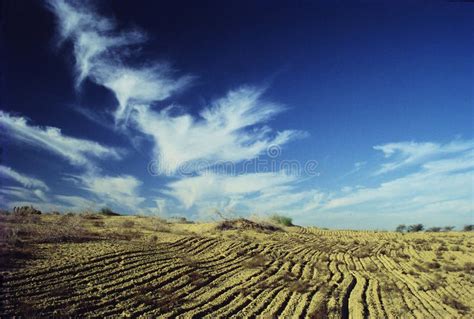 Converting Desert To Fertile Land Stock Photo Image Of Crop Success