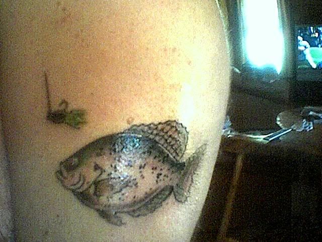 Crappie Tattoo Designs - Media Rpgsite