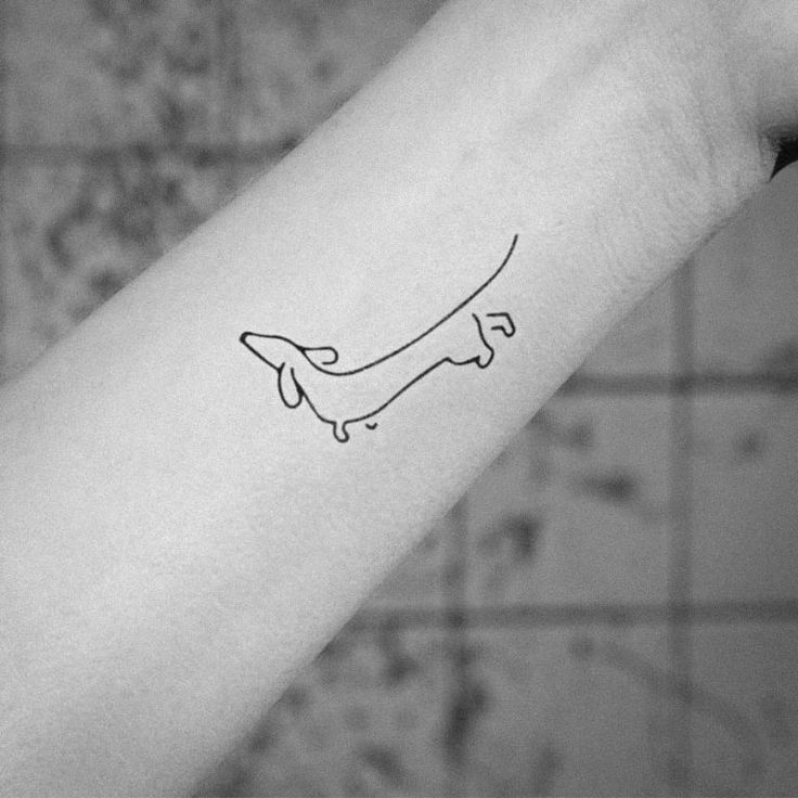 Dachshund Tattoo Image By Sierra Seeds On Tattoos In 2020