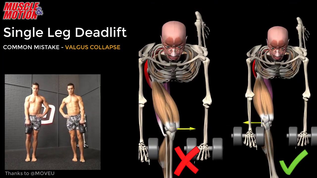 Db One Leg Deadlift Trailing Foot On Bench Youtube