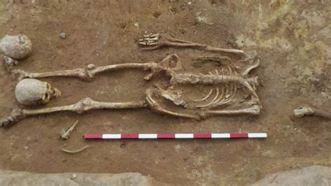 Decapitated Bodies Found In Roman Cemetery In Great Whelnetham Bbc News